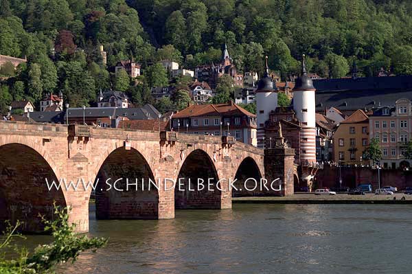 Heidelberg, Schloss, Schloß, Alte Brücke, Stadt, City, castle, old bridge